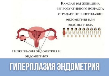 Гиперплазия и полипы эндометрия матки: лечение, выскабливание эндометриоза, цена в СПб